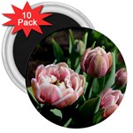 Tulips 3  Button Magnet (10 pack) Front