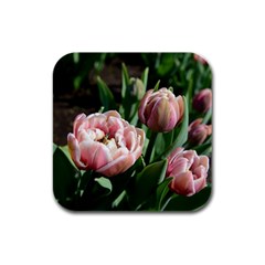 Tulips Drink Coasters 4 Pack (square)