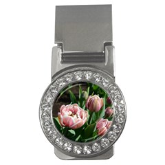 Tulips Money Clip (cz)