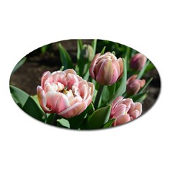 Tulips Magnet (oval) by anstey