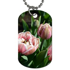 Tulips Dog Tag (two-sided)  by anstey