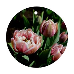 Tulips Round Ornament (two Sides) by anstey