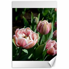 Tulips Canvas 24  X 36  (unframed)