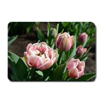 Tulips Small Door Mat 24 x16  Door Mat