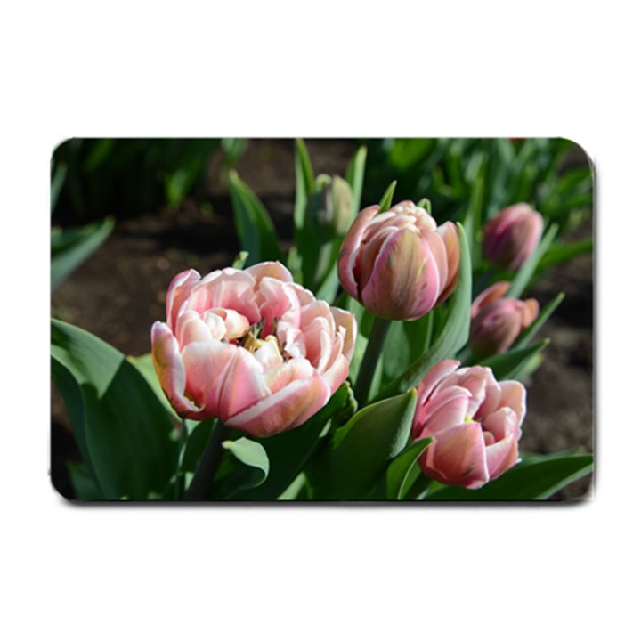 Tulips Small Door Mat