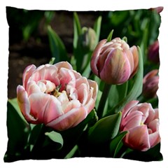 Tulips Large Cushion Case (two Sided)  by anstey