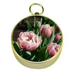 Tulips Gold Compass by anstey