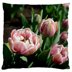 Tulips Standard Flano Cushion Case (one Side) by anstey