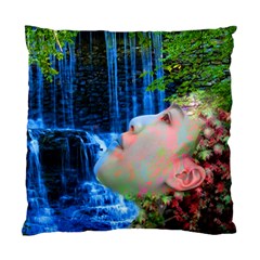 Fountain Of Youth Cushion Case (single Sided)  by icarusismartdesigns