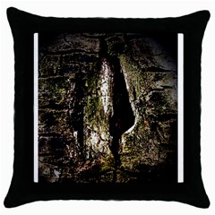 A Deeper Look Throw Pillow Cases (black)