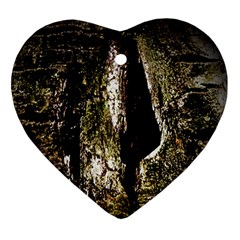 A Deeper Look Heart Ornament (2 Sides) by InsanityExpressed