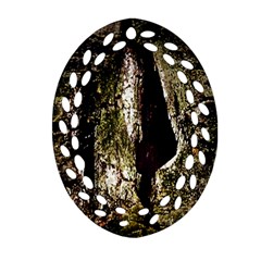 A Deeper Look Oval Filigree Ornament (2-side)  by InsanityExpressed