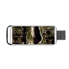 A Deeper Look Portable Usb Flash (one Side)