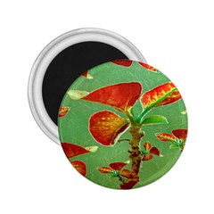 Tropical Floral Print 2 25  Magnets