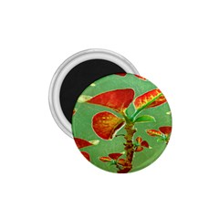 Tropical Floral Print 1 75  Magnets