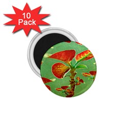 Tropical Floral Print 1 75  Magnets (10 Pack) 