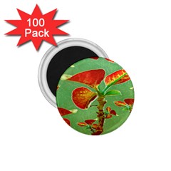 Tropical Floral Print 1 75  Magnets (100 Pack) 