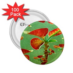 Tropical Floral Print 2 25  Buttons (100 Pack) 