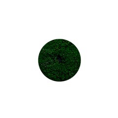 Green Moss 1  Mini Magnets