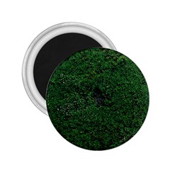 Green Moss 2 25  Magnets by InsanityExpressed