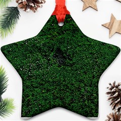 Green Moss Ornament (star) 