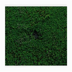 Green Moss Medium Glasses Cloth (2-side)