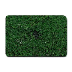 Green Moss Small Doormat 