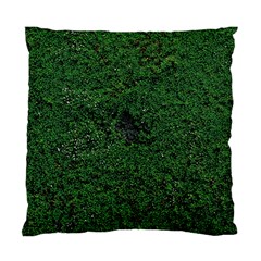 Green Moss Standard Cushion Case (one Side) 