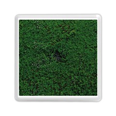 Green Moss Memory Card Reader (square) 