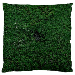 Green Moss Large Cushion Cases (one Side) 