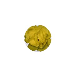 Isolated Yellow Rose Photo 1  Mini Magnets by dflcprints