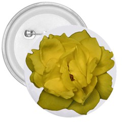 Isolated Yellow Rose Photo 3  Buttons by dflcprints