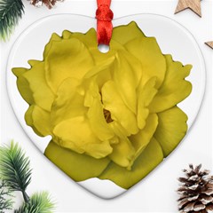 Isolated Yellow Rose Photo Ornament (heart) 