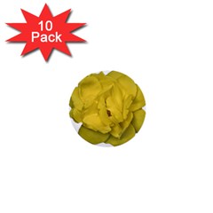 Isolated Yellow Rose Photo 1  Mini Buttons (10 Pack) 