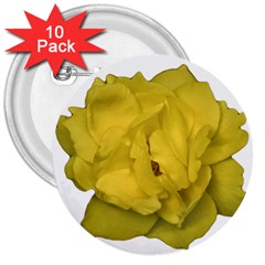 Isolated Yellow Rose Photo 3  Buttons (10 Pack) 