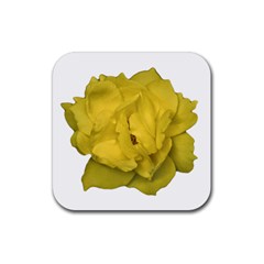 Isolated Yellow Rose Photo Rubber Coaster (square) 