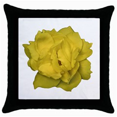 Isolated Yellow Rose Photo Throw Pillow Cases (black)