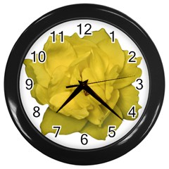 Isolated Yellow Rose Photo Wall Clocks (black)