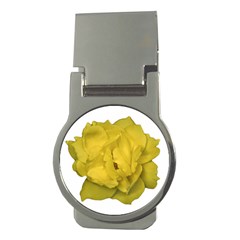 Isolated Yellow Rose Photo Money Clips (round)  by dflcprints