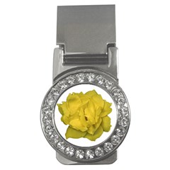 Isolated Yellow Rose Photo Money Clips (cz) 