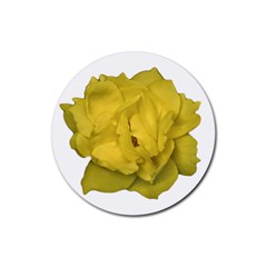 Isolated Yellow Rose Photo Rubber Coaster (round) 