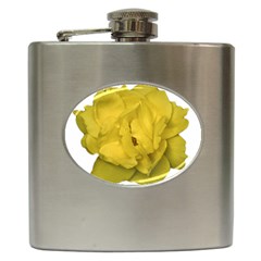 Isolated Yellow Rose Photo Hip Flask (6 Oz)