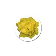 Isolated Yellow Rose Photo Golf Ball Marker (4 Pack) by dflcprints