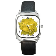 Isolated Yellow Rose Photo Square Metal Watches by dflcprints