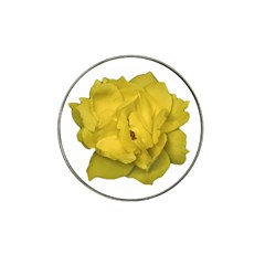 Isolated Yellow Rose Photo Hat Clip Ball Marker by dflcprints