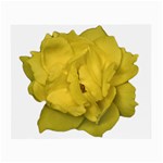 Isolated Yellow Rose Photo Small Glasses Cloth Front