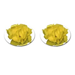 Isolated Yellow Rose Photo Cufflinks (oval) by dflcprints