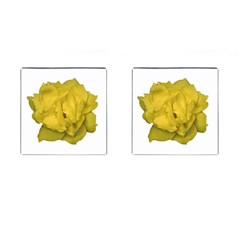 Isolated Yellow Rose Photo Cufflinks (square)