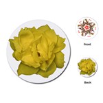 Isolated Yellow Rose Photo Playing Cards (Round)  Front