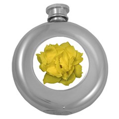 Isolated Yellow Rose Photo Round Hip Flask (5 Oz) by dflcprints